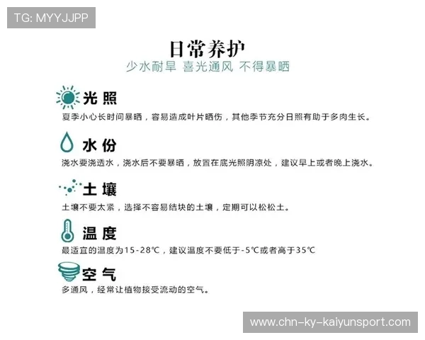 复盘经典的“肉钩泉水”事件：是漏洞还是天才般的创意？
