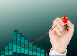 开云体育入口-赛事管理平台开发,赛事运行服务