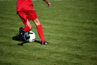 开云体育下载-俱乐部青训体系与职业联赛脱节，俱乐部青训有工资吗