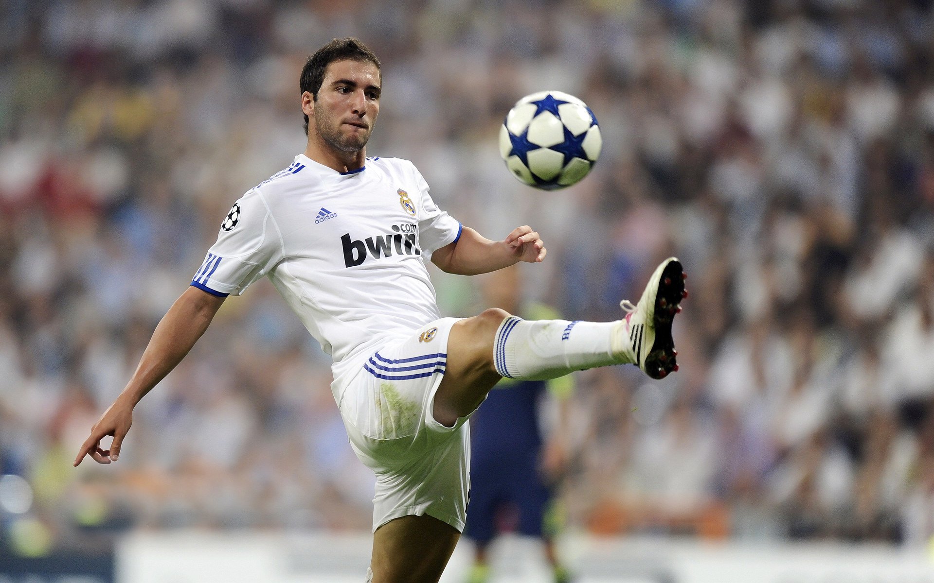 公牛攻防兼备,连胜势头延续,公牛几连胜